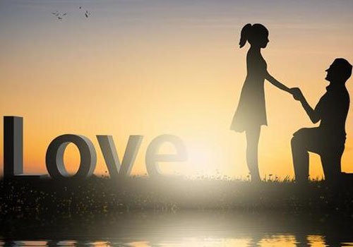 成都市私家调查